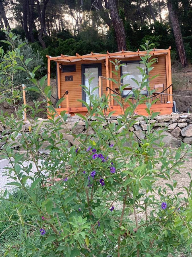 Tiny Mini House Hotel Dalaman Buitenkant foto