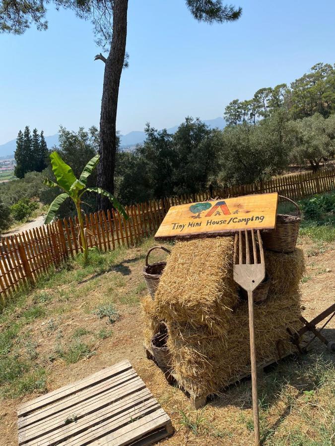 Tiny Mini House Hotel Dalaman Buitenkant foto