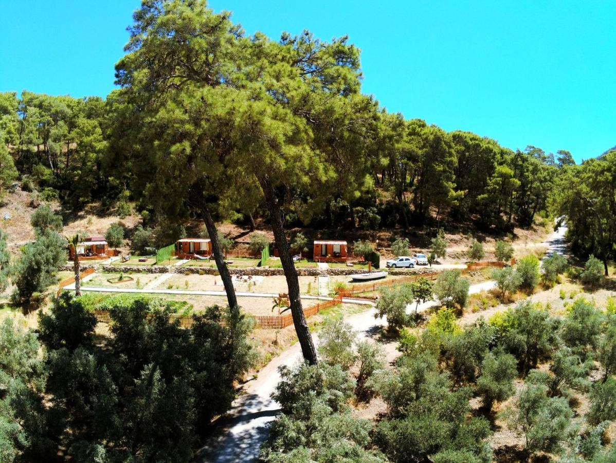 Tiny Mini House Hotel Dalaman Buitenkant foto