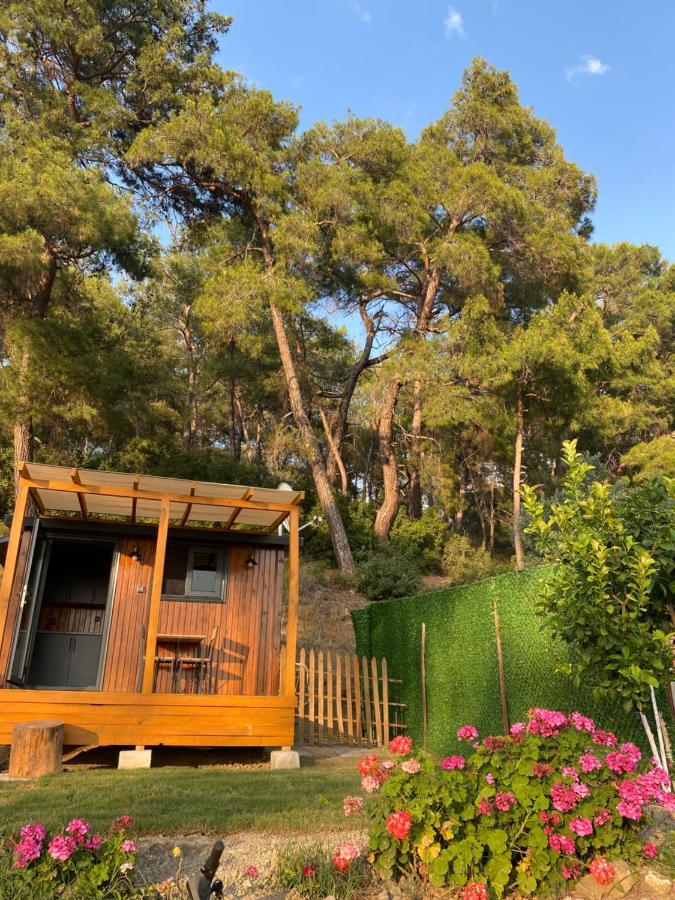 Tiny Mini House Hotel Dalaman Buitenkant foto