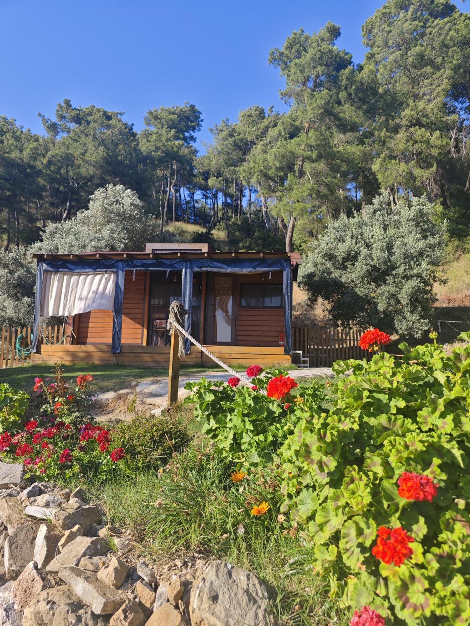 Tiny Mini House Hotel Dalaman Buitenkant foto